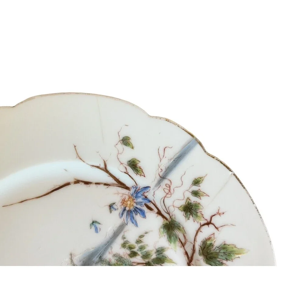 Charles Field Haviland Salad Plates 8 1/2” (Set of 2)